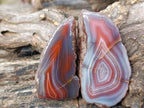 Polished One Side Red Shashe River Agate Nodules x 12 From Shashe River, Zimbabwe - Toprock Gemstones and Minerals 
