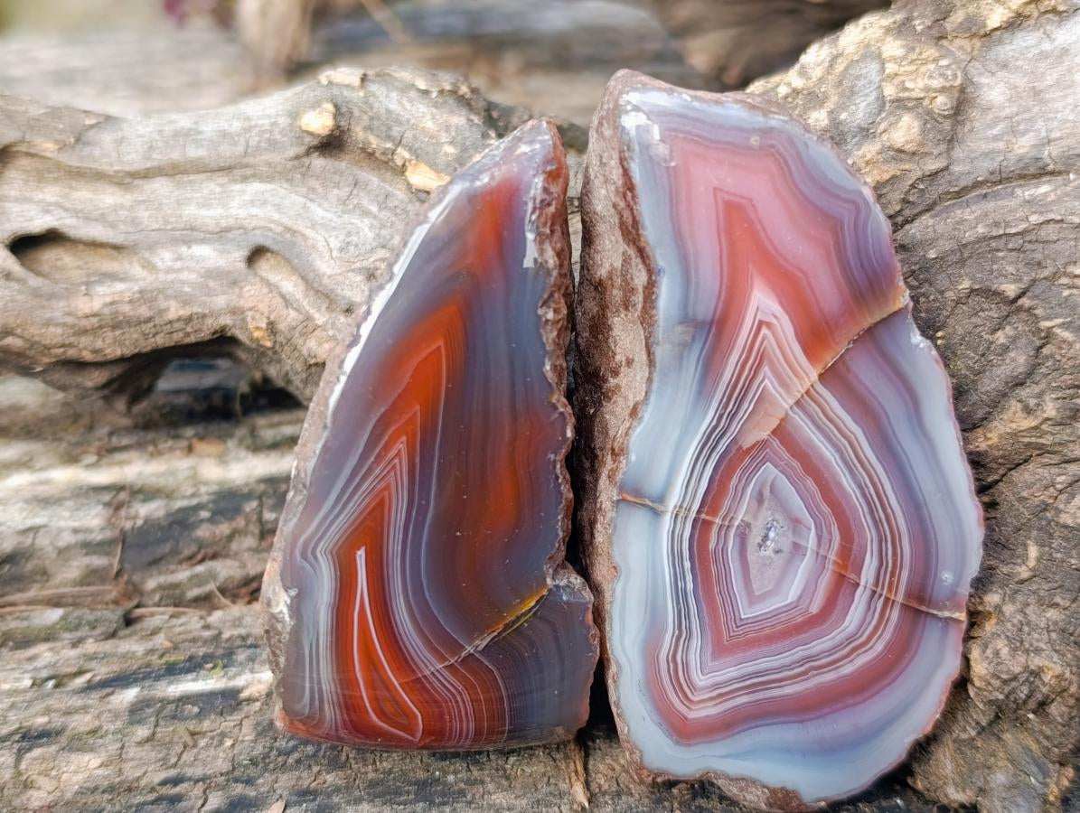 Polished One Side Red Shashe River Agate Nodules x 12 From Shashe River, Zimbabwe - Toprock Gemstones and Minerals 