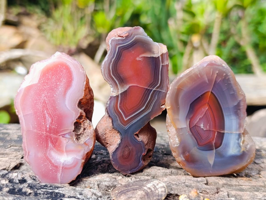 Polished One Side Red Shashe River Agate Nodules x 12 From Shashe River, Zimbabwe - Toprock Gemstones and Minerals 