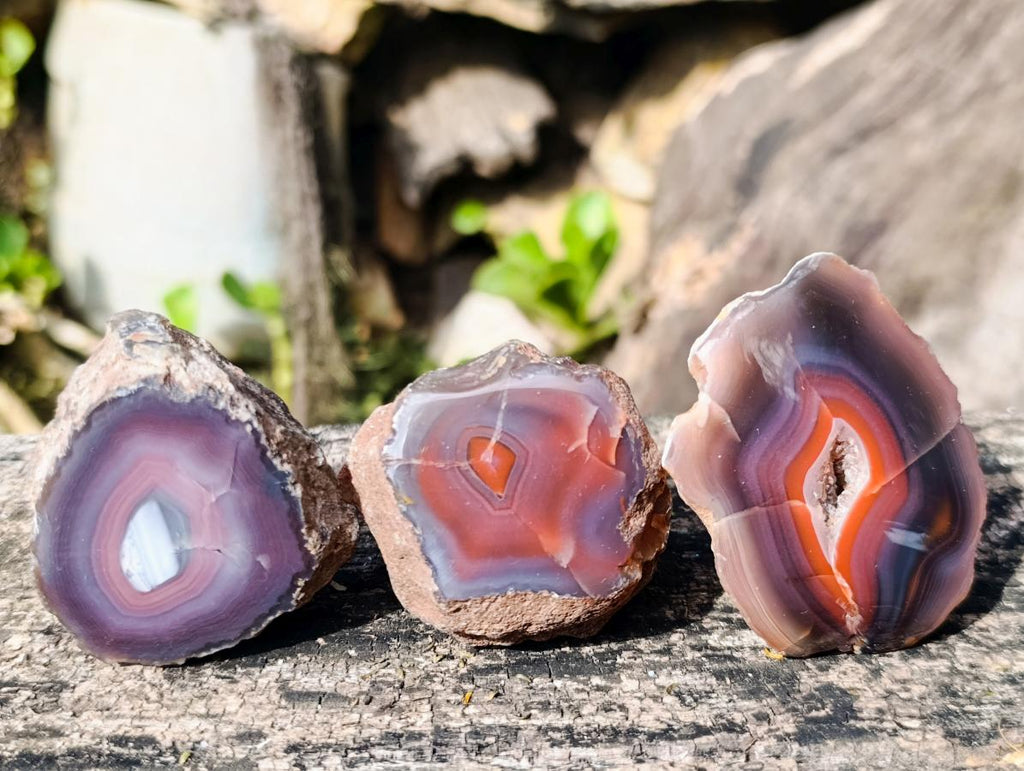 Polished One Side Red Shashe River Agate Nodules x 12 From Shashe River, Zimbabwe - Toprock Gemstones and Minerals 