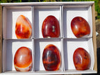 Polished Carnelian Agate Gemstone Standing Display Pieces x 6 From Madagascar - Toprock Gemstones and Minerals 
