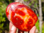 Polished Carnelian Agate Gemstone Standing Display Pieces x 6 From Madagascar - Toprock Gemstones and Minerals 