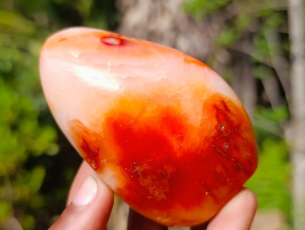 Polished Carnelian Agate Gemstone Standing Display Pieces x 6 From Madagascar - Toprock Gemstones and Minerals 