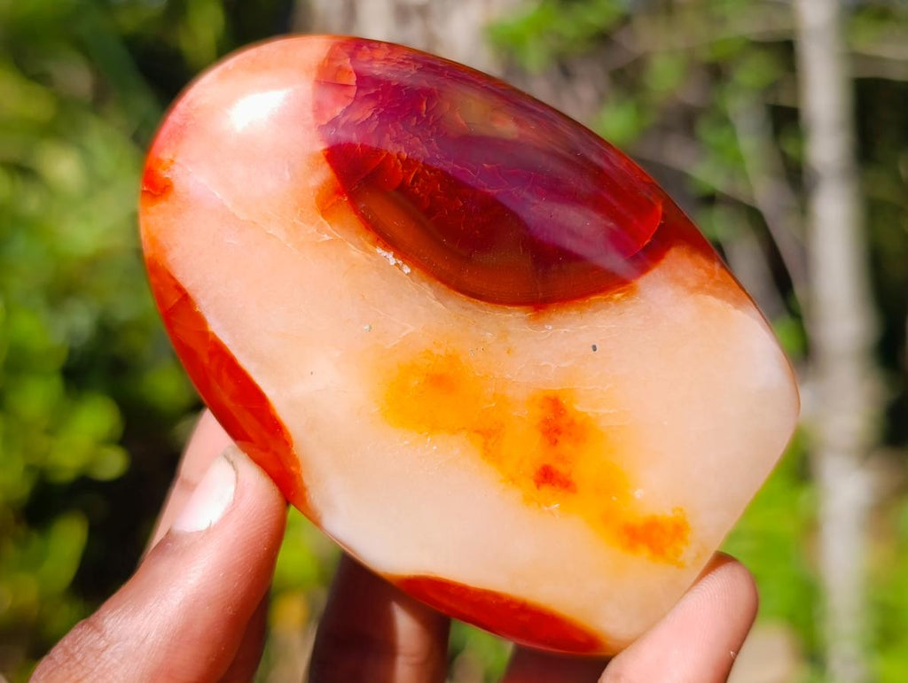 Polished Carnelian Agate Gemstone Standing Display Pieces x 6 From Madagascar - Toprock Gemstones and Minerals 