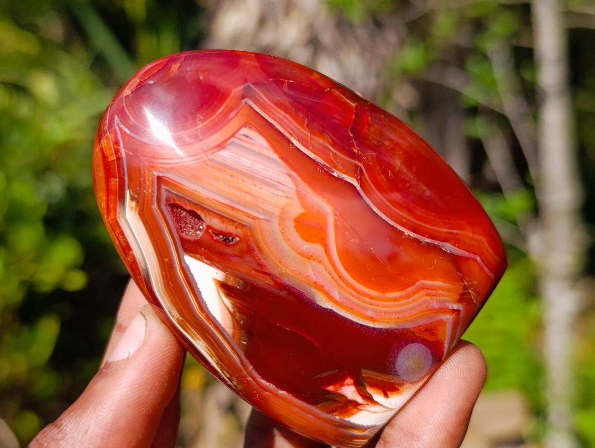 Polished Carnelian Agate Gemstone Standing Display Pieces x 6 From Madagascar - Toprock Gemstones and Minerals 