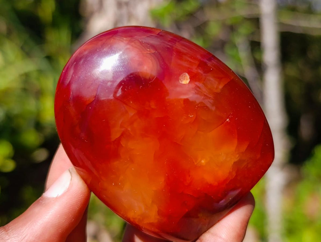 Polished Carnelian Agate Gemstone Standing Display Pieces x 6 From Madagascar - Toprock Gemstones and Minerals 