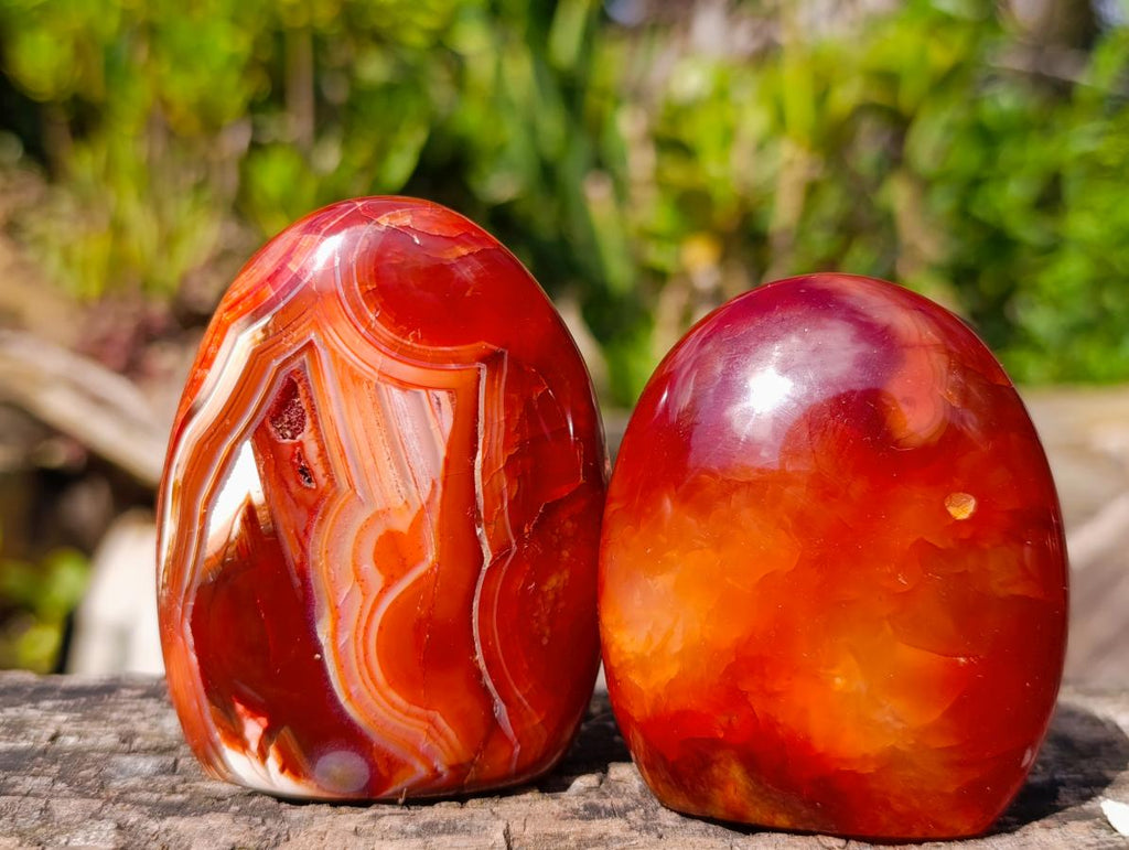Polished Carnelian Agate Gemstone Standing Display Pieces x 6 From Madagascar - Toprock Gemstones and Minerals 