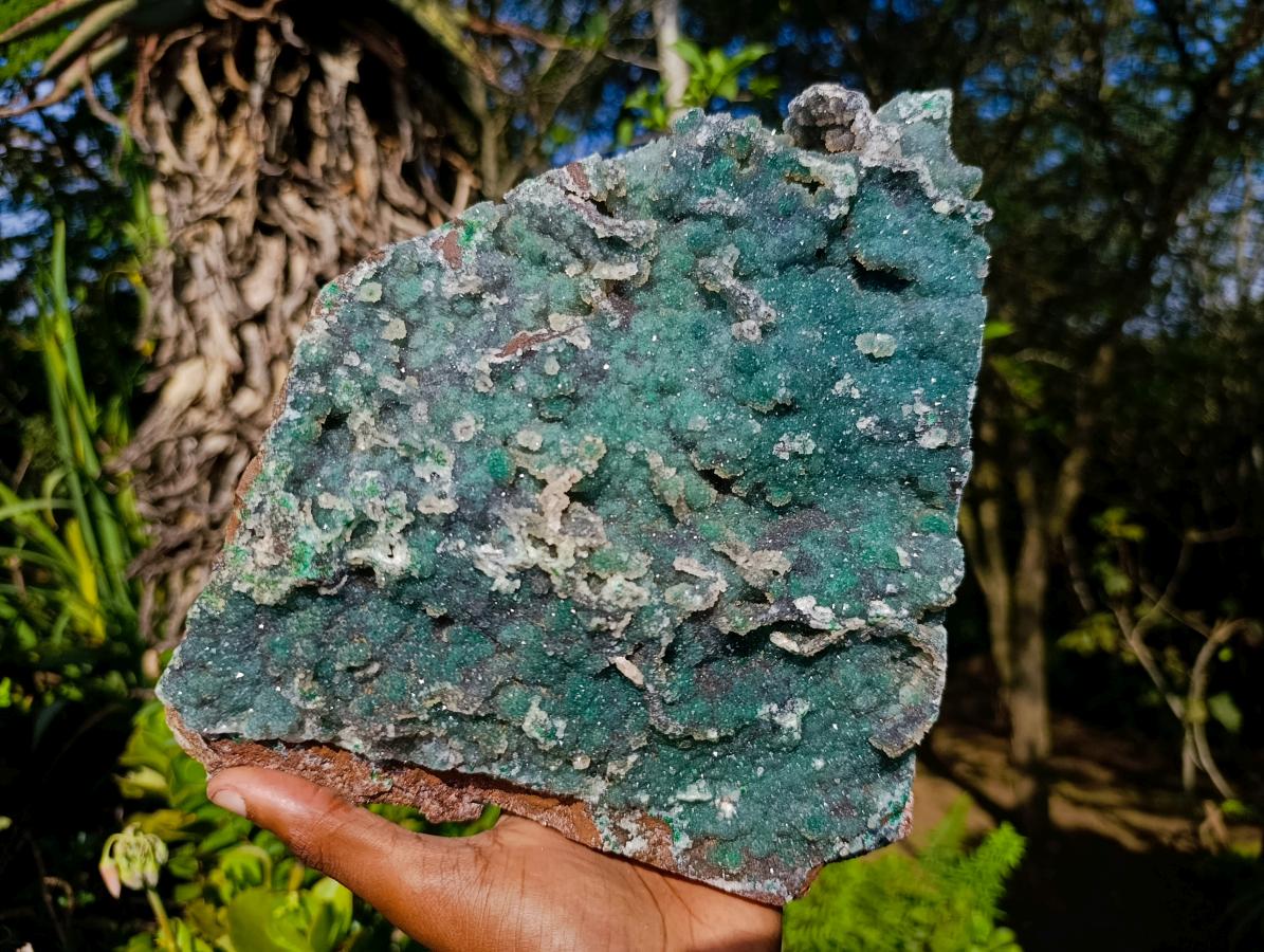 Natural XL Drusy Quartz Coated Ball Malachite On Dolomite Specimen x 1 From Mindingi Mine, Kambove, Congo - Toprock Gemstones and Minerals 