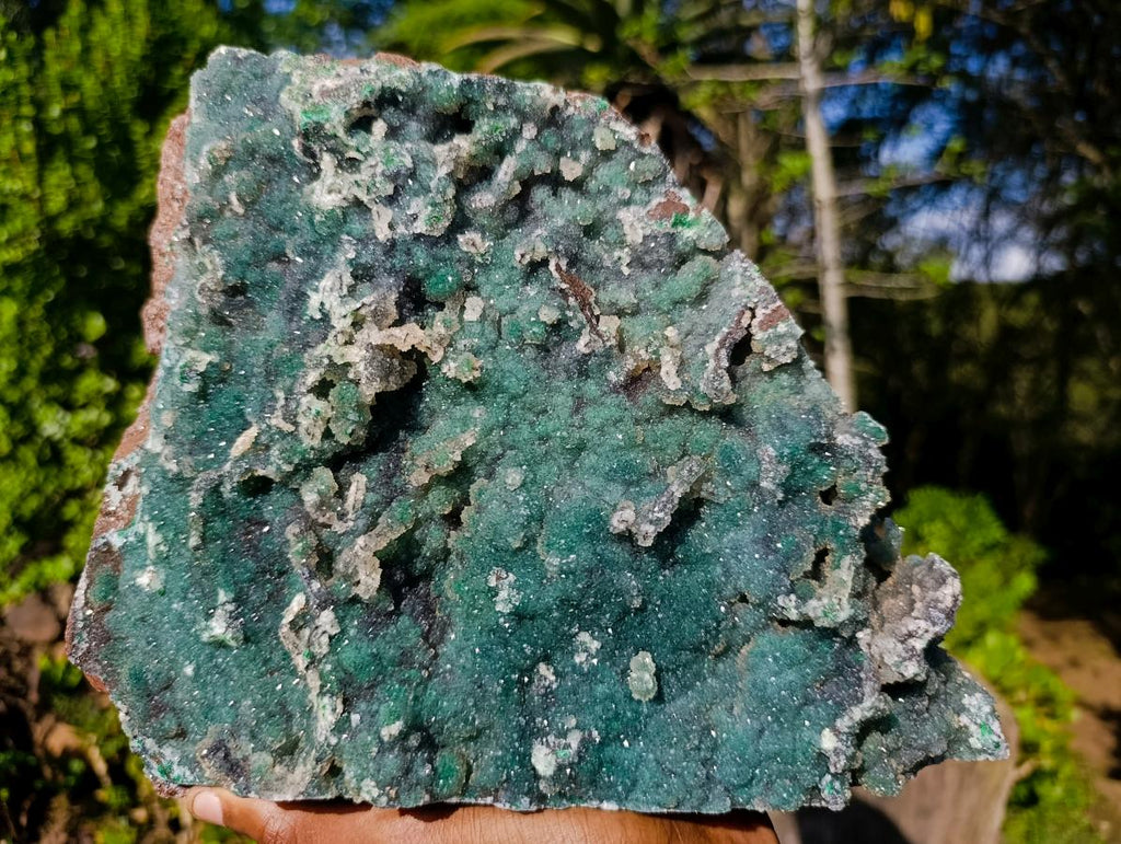 Natural XL Drusy Quartz Coated Ball Malachite On Dolomite Specimen x 1 From Mindingi Mine, Kambove, Congo - Toprock Gemstones and Minerals 