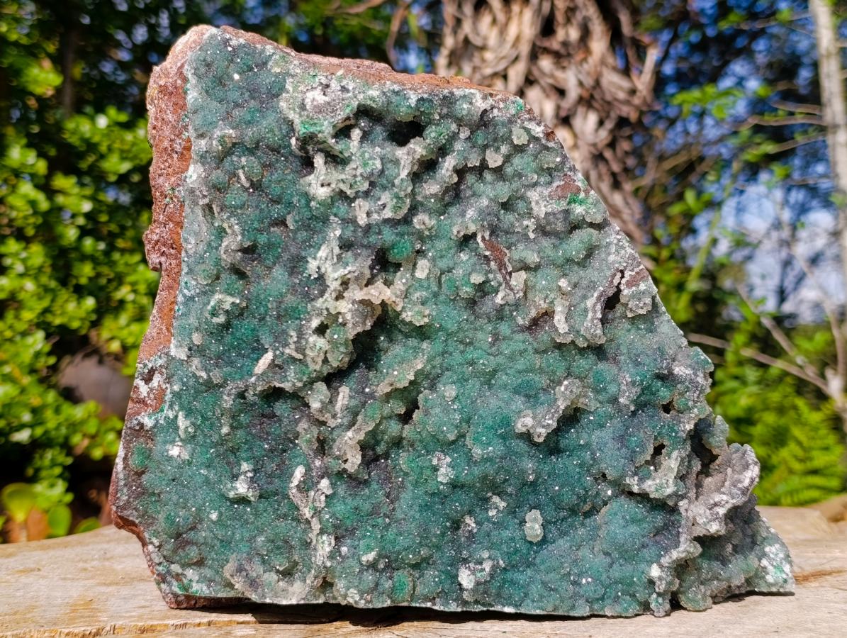 Natural XL Drusy Quartz Coated Ball Malachite On Dolomite Specimen x 1 From Mindingi Mine, Kambove, Congo - Toprock Gemstones and Minerals 