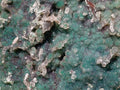 Natural XL Drusy Quartz Coated Ball Malachite On Dolomite Specimen x 1 From Mindingi Mine, Kambove, Congo - Toprock Gemstones and Minerals 