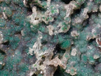 Natural XL Drusy Quartz Coated Ball Malachite On Dolomite Specimen x 1 From Mindingi Mine, Kambove, Congo - Toprock Gemstones and Minerals 