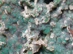 Natural XL Drusy Quartz Coated Ball Malachite On Dolomite Specimen x 1 From Mindingi Mine, Kambove, Congo - Toprock Gemstones and Minerals 