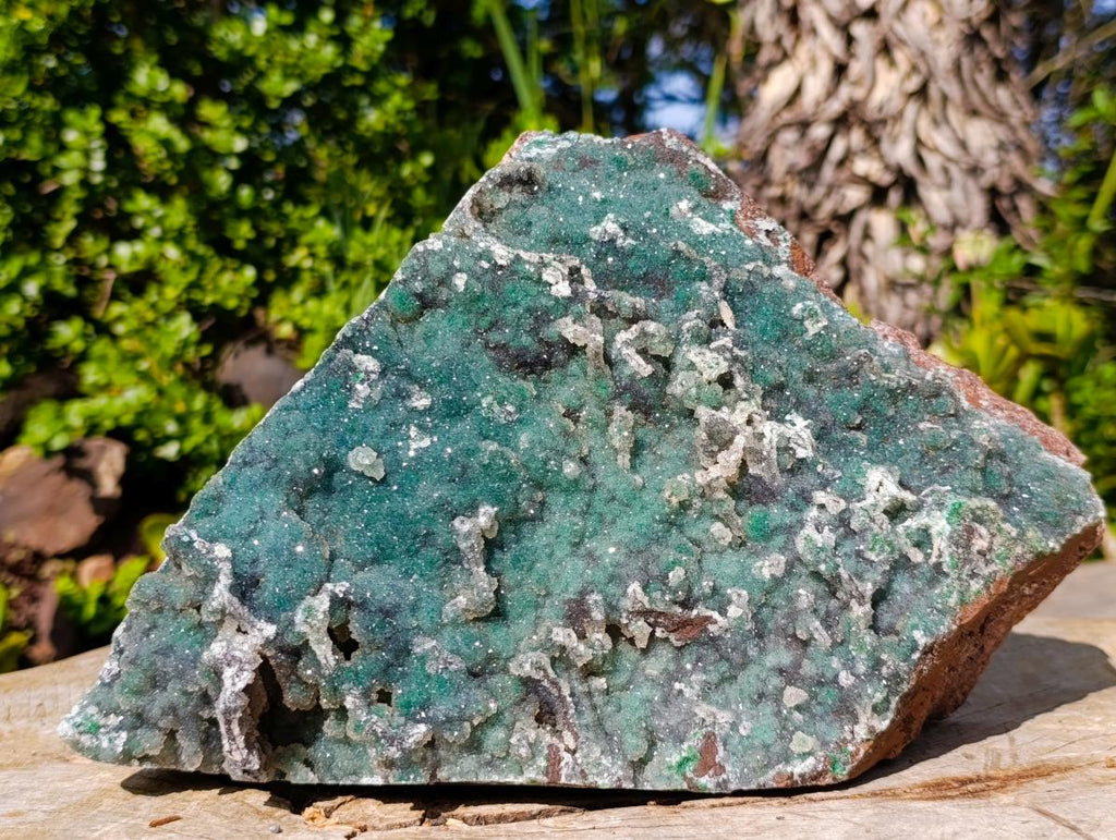 Natural XL Drusy Quartz Coated Ball Malachite On Dolomite Specimen x 1 From Mindingi Mine, Kambove, Congo - Toprock Gemstones and Minerals 