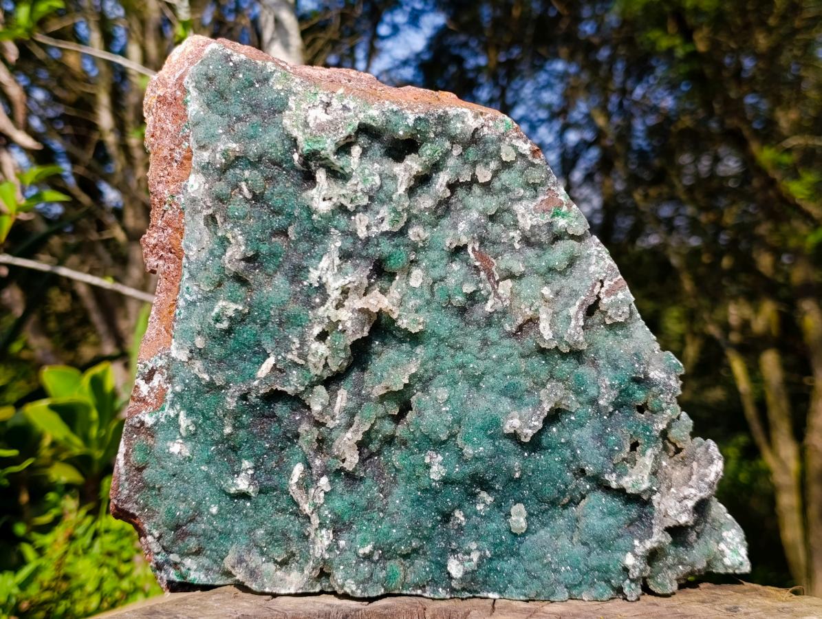 Natural XL Drusy Quartz Coated Ball Malachite On Dolomite Specimen x 1 From Mindingi Mine, Kambove, Congo - Toprock Gemstones and Minerals 