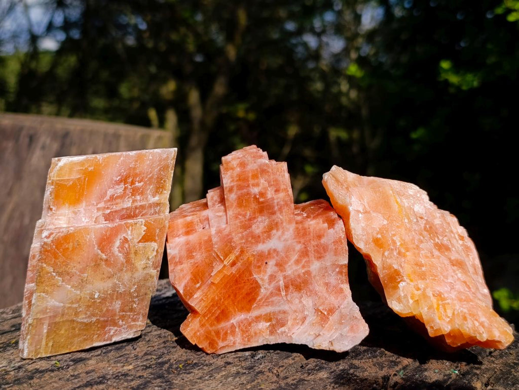 Natural Rhombohedral Sunset Orange Calcite Specimens x 12 From Spitzkop, Namibia - Toprock Gemstones and Minerals 