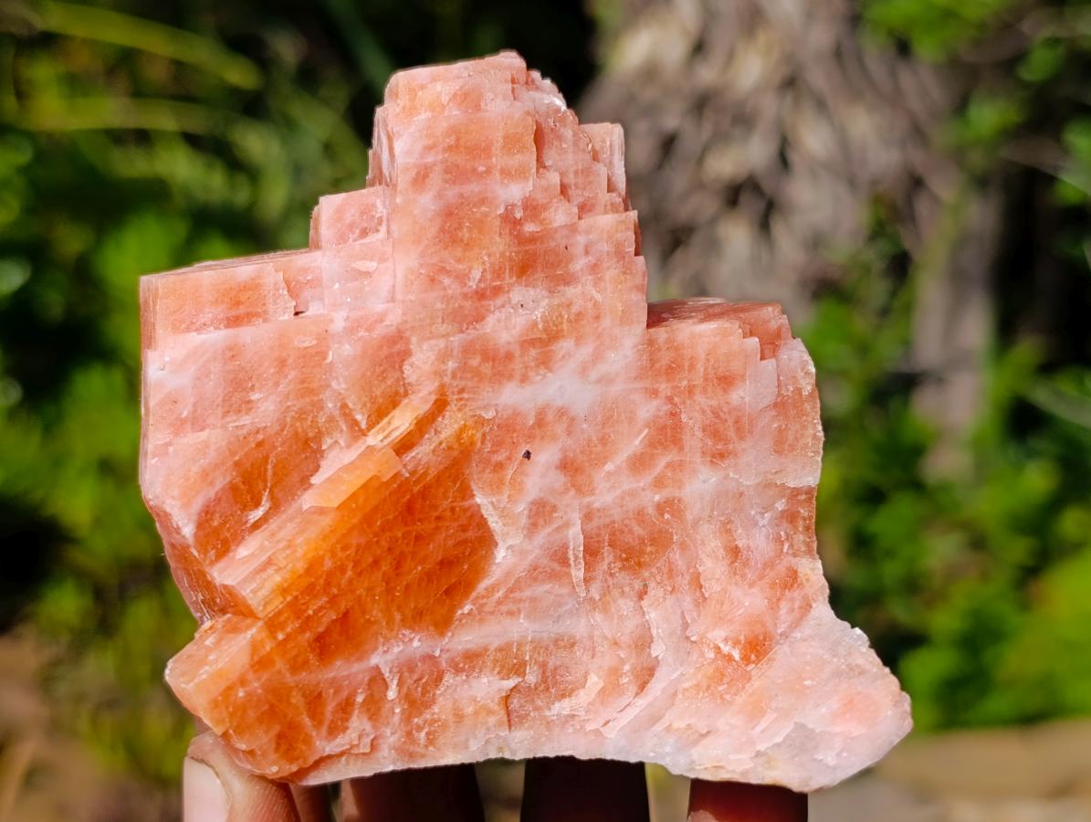 Natural Rhombohedral Sunset Orange Calcite Specimens x 12 From Spitzkop, Namibia - Toprock Gemstones and Minerals 