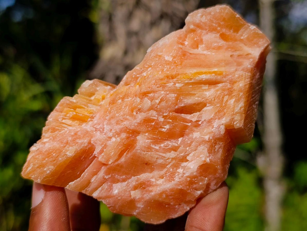Natural Rhombohedral Sunset Orange Calcite Specimens x 12 From Spitzkop, Namibia - Toprock Gemstones and Minerals 