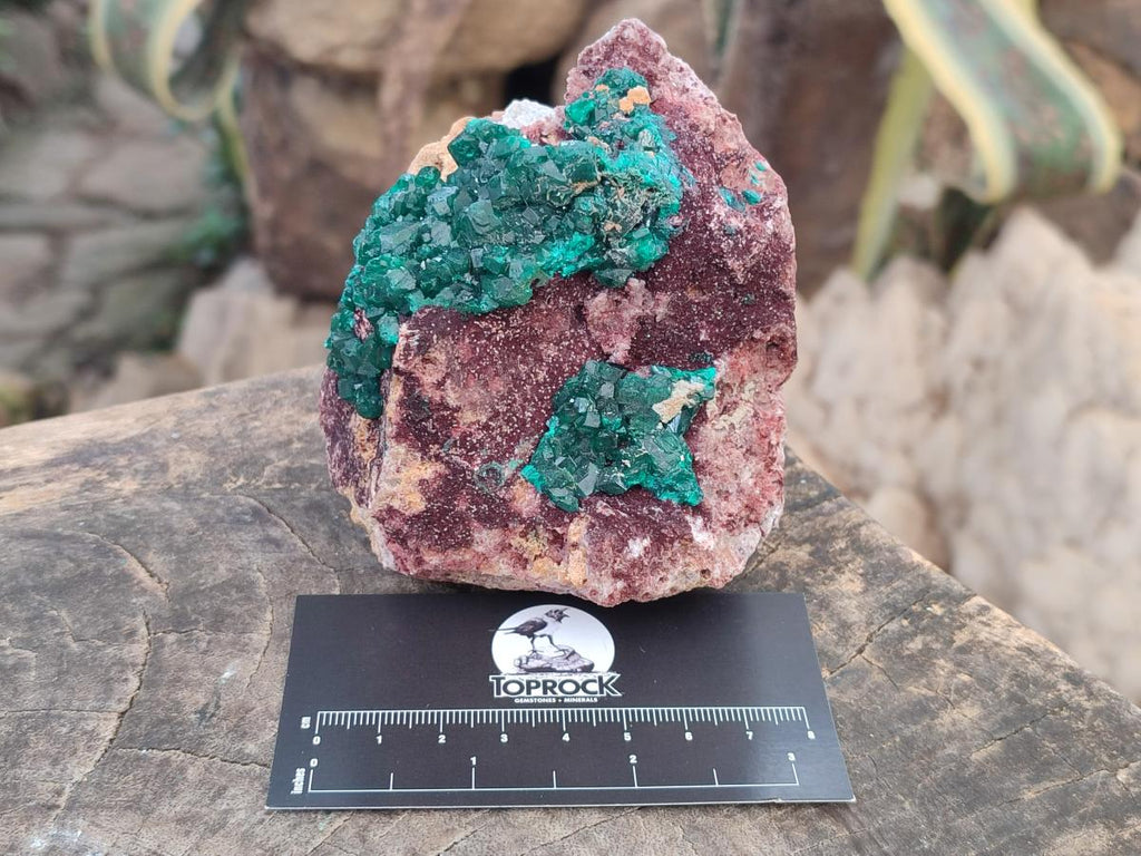 Natural Dioptase on Dolomite Specimens x 2 From Likasi, Congo - Toprock Gemstones and Minerals 