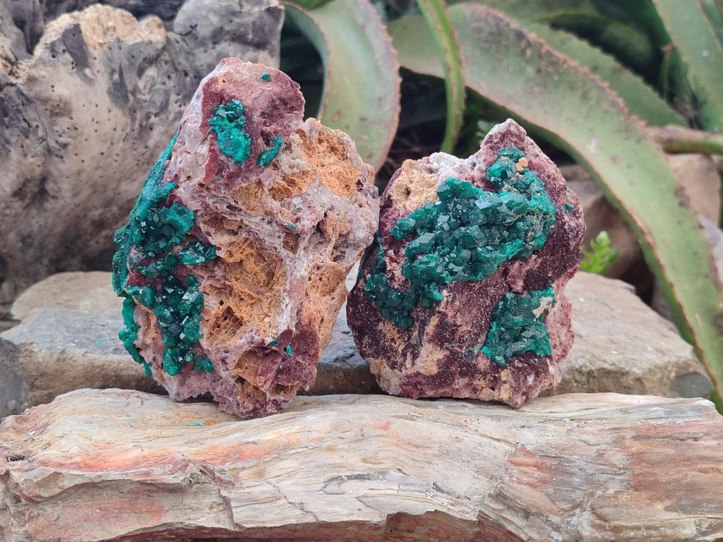Natural Dioptase on Dolomite Specimens x 2 From Likasi, Congo - Toprock Gemstones and Minerals 