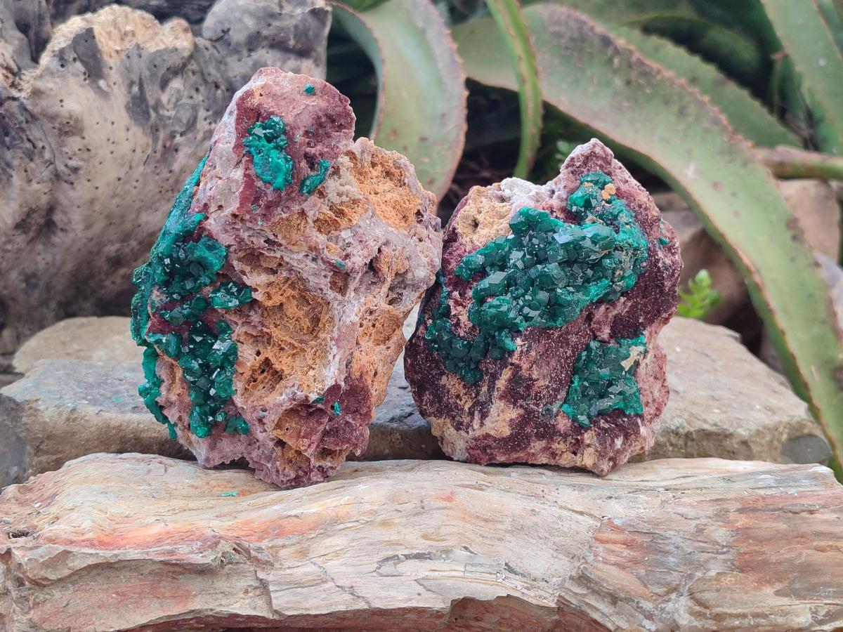 Natural Dioptase on Dolomite Specimens x 2 From Likasi, Congo - Toprock Gemstones and Minerals 