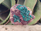 Natural Dioptase on Dolomite Specimens x 2 From Likasi, Congo - Toprock Gemstones and Minerals 