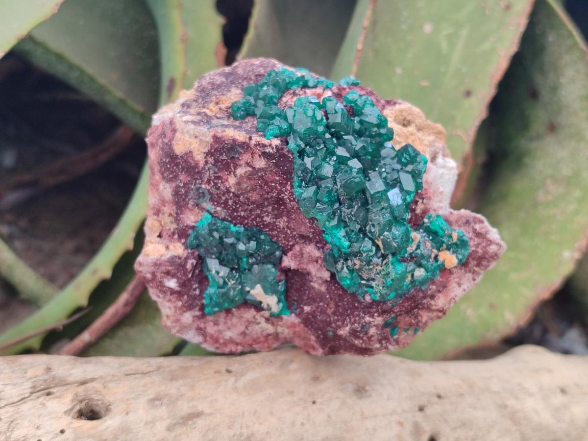 Natural Dioptase on Dolomite Specimens x 2 From Likasi, Congo - Toprock Gemstones and Minerals 