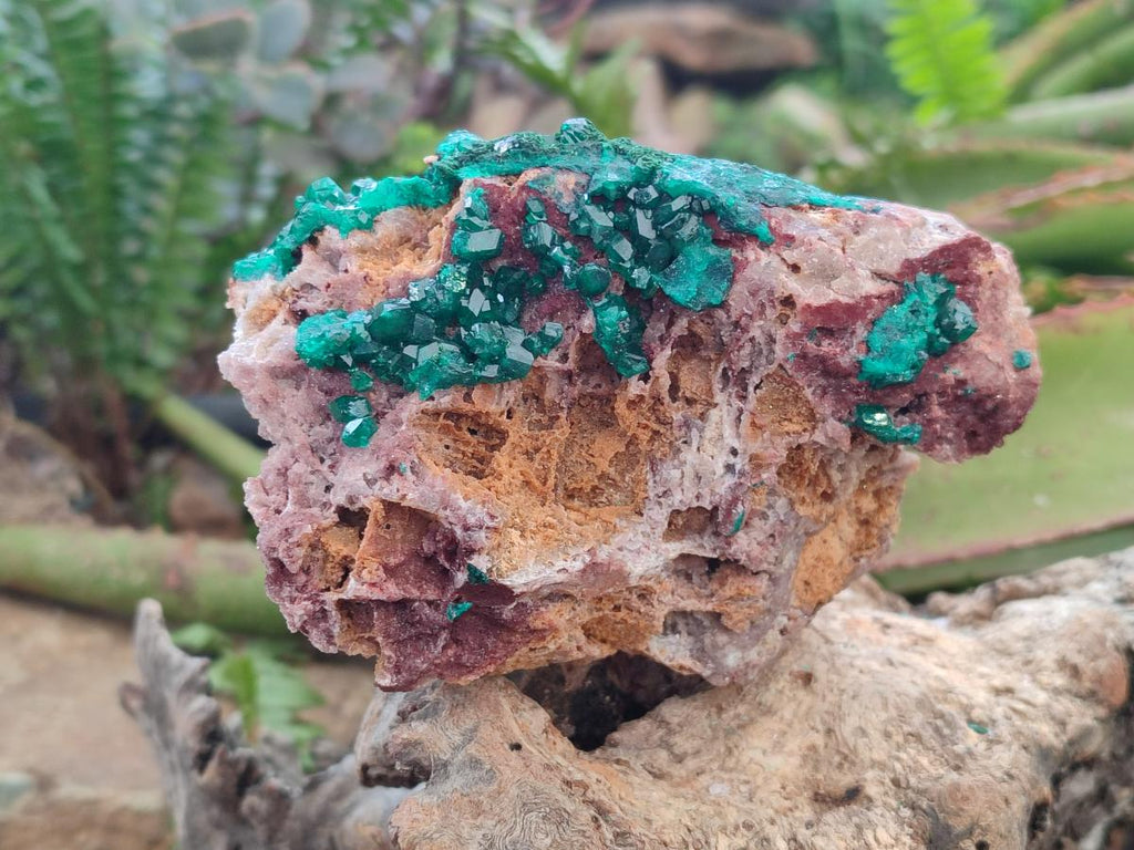 Natural Dioptase on Dolomite Specimens x 2 From Likasi, Congo - Toprock Gemstones and Minerals 