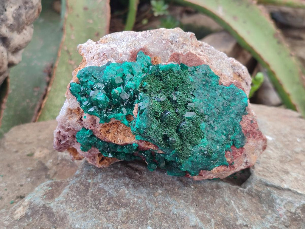 Natural Dioptase on Dolomite Specimens x 2 From Likasi, Congo - Toprock Gemstones and Minerals 
