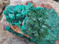 Natural Dioptase on Dolomite Specimens x 2 From Likasi, Congo - Toprock Gemstones and Minerals 