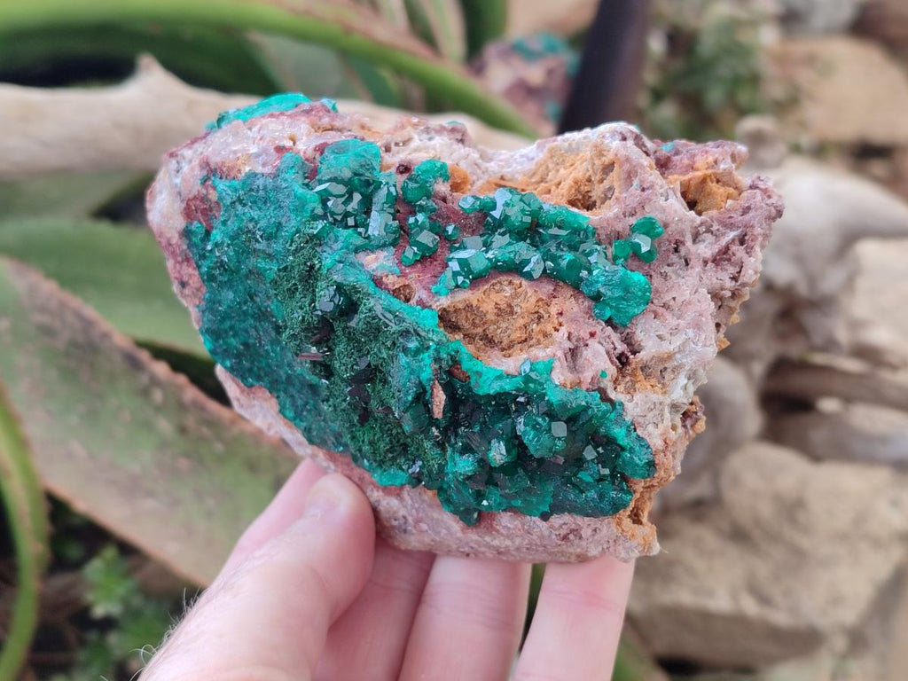 Natural Dioptase on Dolomite Specimens x 2 From Likasi, Congo - Toprock Gemstones and Minerals 