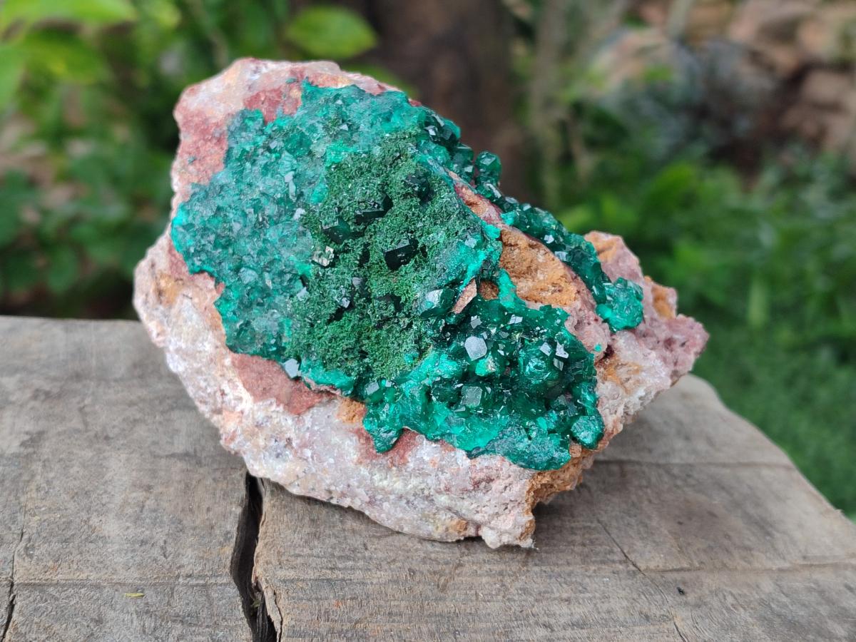 Natural Dioptase on Dolomite Specimens x 2 From Likasi, Congo - Toprock Gemstones and Minerals 