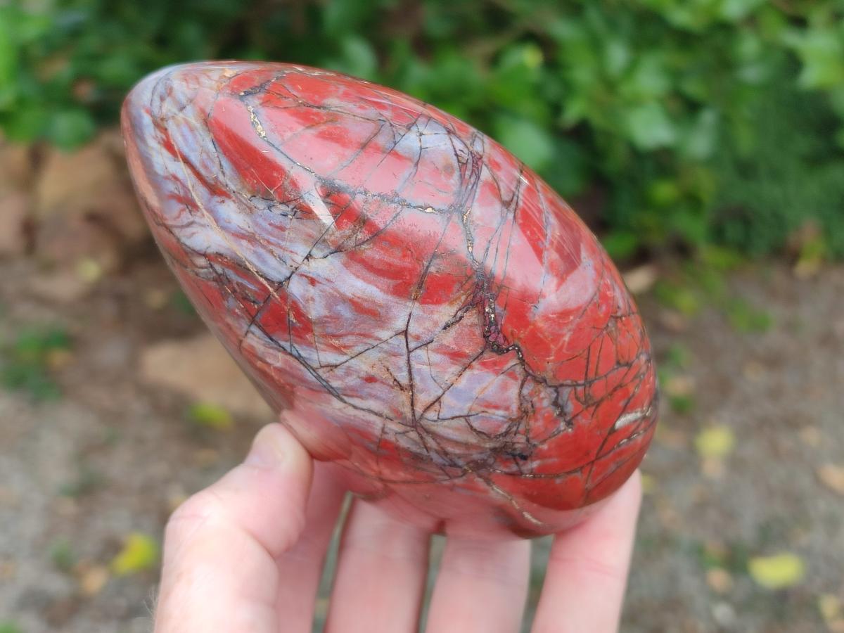 Polished Red Jasper Standing Free Forms x 2 From Madagascar - Toprock Gemstones and Minerals 