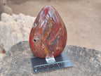 Polished Red Jasper Standing Free Forms x 2 From Madagascar - Toprock Gemstones and Minerals 