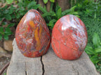 Polished Red Jasper Standing Free Forms x 2 From Madagascar - Toprock Gemstones and Minerals 