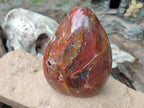 Polished Red Jasper Standing Free Forms x 2 From Madagascar - Toprock Gemstones and Minerals 