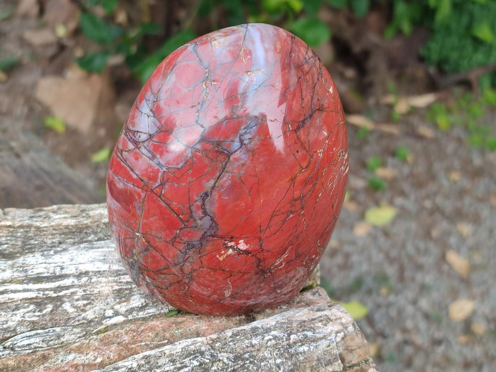 Polished Red Jasper Standing Free Forms x 2 From Madagascar - Toprock Gemstones and Minerals 