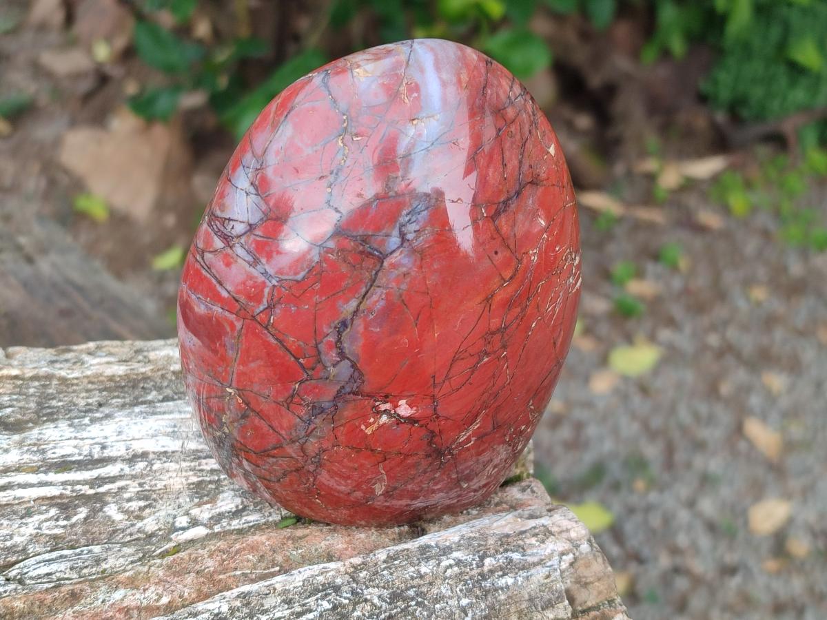 Polished Red Jasper Standing Free Forms x 2 From Madagascar - Toprock Gemstones and Minerals 