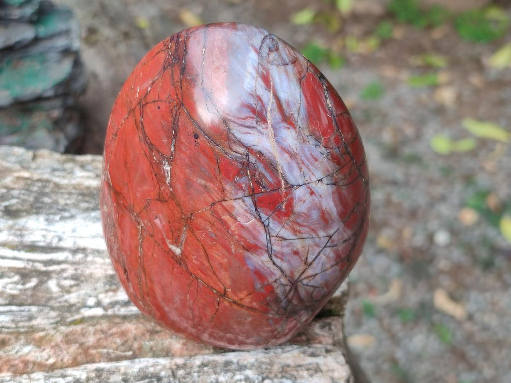 Polished Red Jasper Standing Free Forms x 2 From Madagascar - Toprock Gemstones and Minerals 