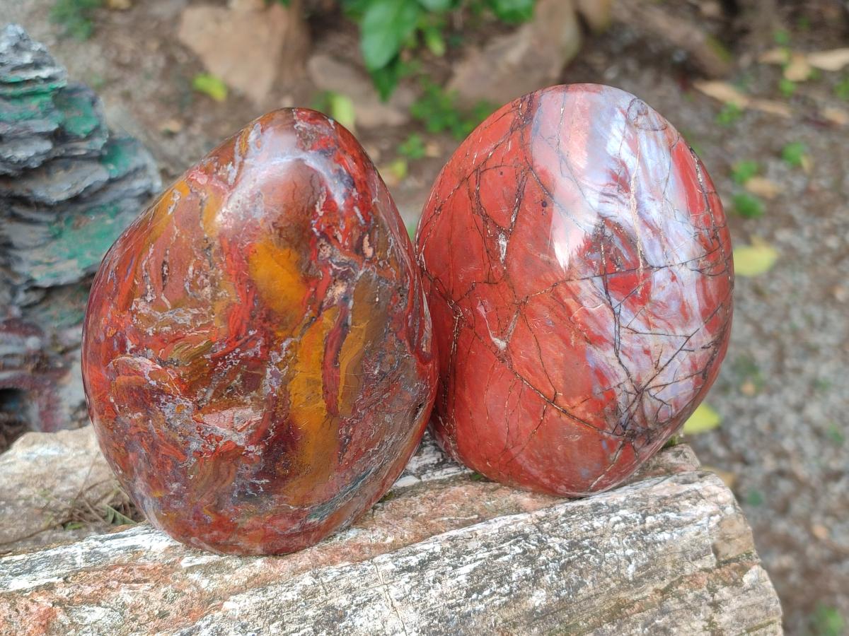 Polished Red Jasper Standing Free Forms x 2 From Madagascar - Toprock Gemstones and Minerals 