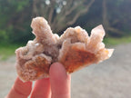 Natural Limonite Fairy Spirit Quartz Clusters x 12 From Boekenhouthoek, South Africa - Toprock Gemstones and Minerals 
