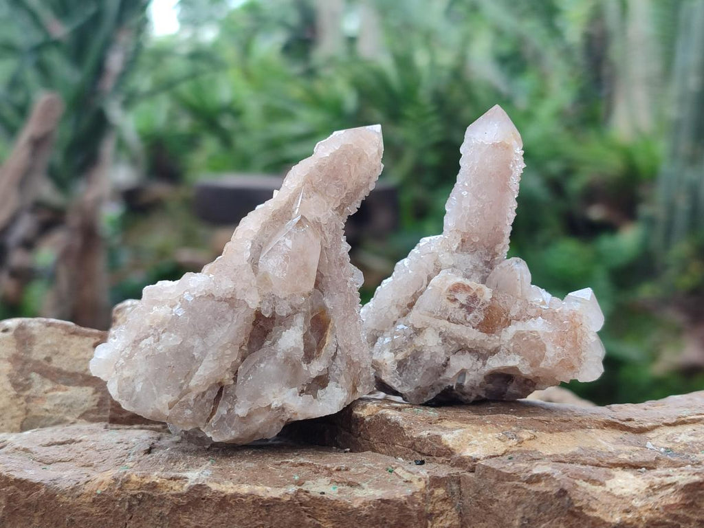 Natural Limonite Fairy Spirit Quartz Clusters x 12 From Boekenhouthoek, South Africa - Toprock Gemstones and Minerals 