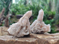 Natural Limonite Fairy Spirit Quartz Clusters x 12 From Boekenhouthoek, South Africa - Toprock Gemstones and Minerals 