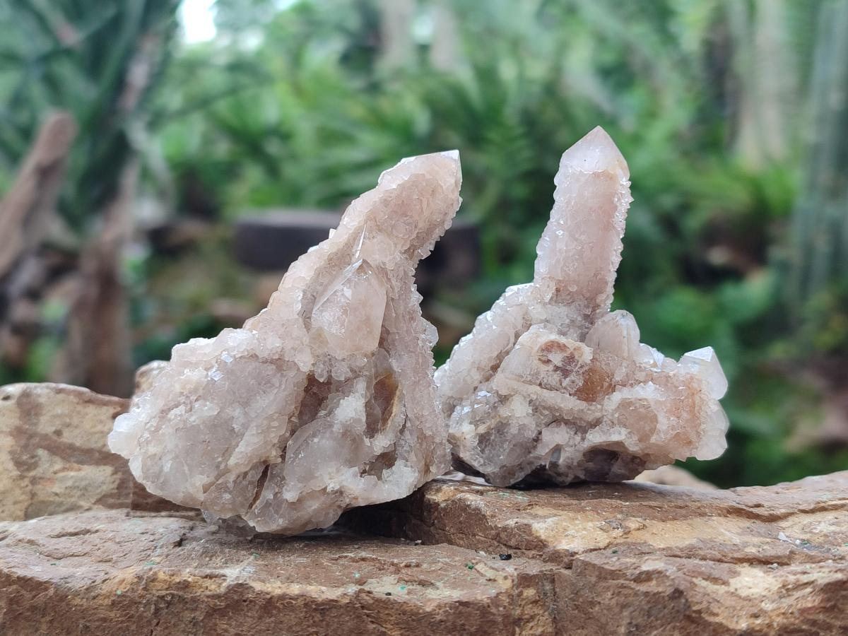Natural Limonite Fairy Spirit Quartz Clusters x 12 From Boekenhouthoek, South Africa - Toprock Gemstones and Minerals 