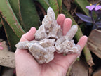 Natural Limonite Fairy Spirit Quartz Clusters x 12 From Boekenhouthoek, South Africa - Toprock Gemstones and Minerals 