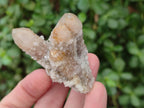 Natural Limonite Fairy Spirit Quartz Clusters x 12 From Boekenhouthoek, South Africa - Toprock Gemstones and Minerals 