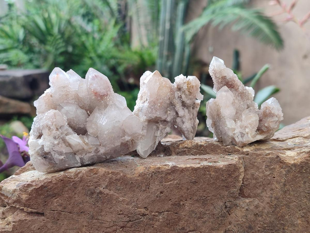 Natural Limonite Fairy Spirit Quartz Clusters x 12 From Boekenhouthoek, South Africa - Toprock Gemstones and Minerals 