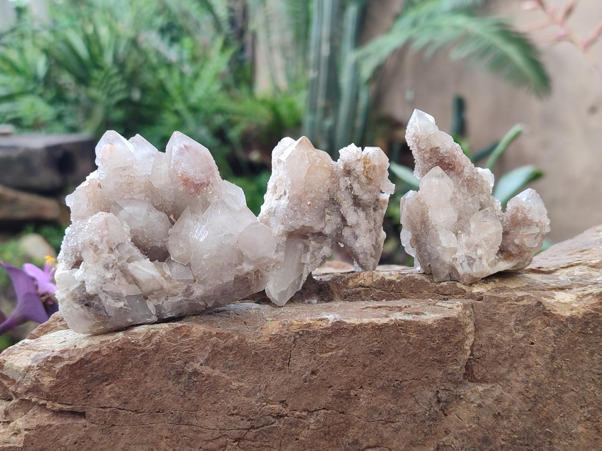 Natural Limonite Fairy Spirit Quartz Clusters x 12 From Boekenhouthoek, South Africa - Toprock Gemstones and Minerals 