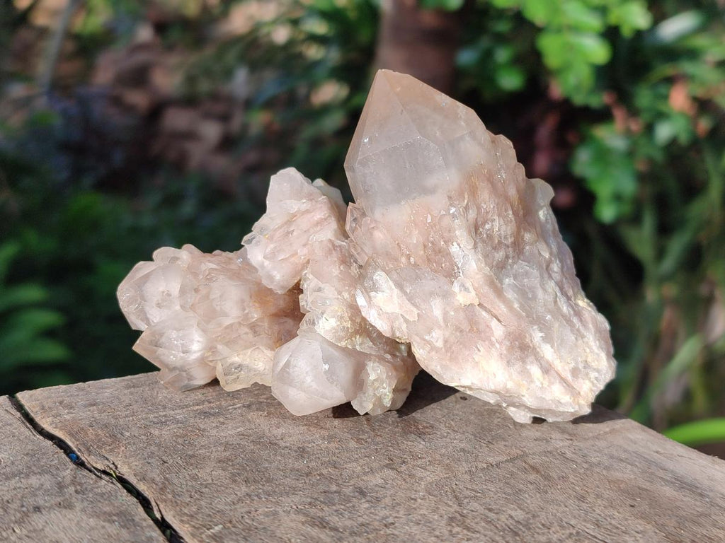 Natural Cascading White Phantom Smokey Luena Quartz Crystals and Clusters x 12 From Luena, Congo - Toprock Gemstones and Minerals 