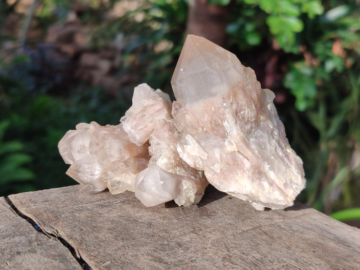 Natural Cascading White Phantom Smokey Luena Quartz Crystals and Clusters x 12 From Luena, Congo - Toprock Gemstones and Minerals 